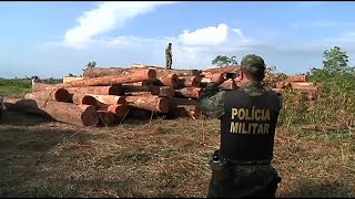 AmazonasRegenwald schrumpft in nie dagewesenem Ausmaß [upl. by Hagi892]