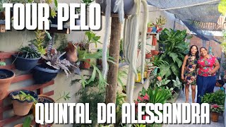 TOUR PELO QUINTAL DA ALESSANDRA  Quintal com diversas plantas  plantas de sol e de sombra [upl. by Alegnad145]