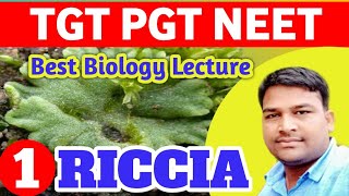 Riccia best lecture  Bryophyta Riccia  TGT PGT NEET BIOLOGY  TGT PGT NEET Online Class [upl. by Marrilee]