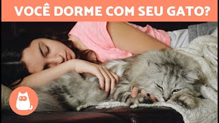 5 BENEFÍCIOS DE DORMIR com seu GATO 🐱💤 Faz bem dormir com seu gato [upl. by Zigrang]