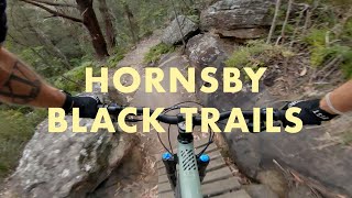 OLD MANS VALLEY BLACK TRAILS  quotDifficultquot  Hornsby MTB Trails [upl. by Laryssa]