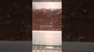 chocolatechip brownie trending trendingshorts viralshort viral [upl. by Leirbag851]