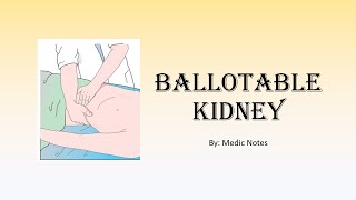 Ballotable kidney mechanism unilateral vs bilateral causes [upl. by Galen]