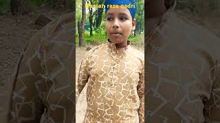 hassan raza qadri live duet answer funny answere music love religion beautiful liveanswers [upl. by Naanac508]