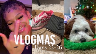 VLOGMAS DAYS 2226 Bonus Day  Christmas in Houston [upl. by Acirtap]