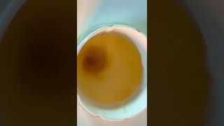 Mango lassi 🥭 lassi mango easyrecipe food [upl. by Nixon]