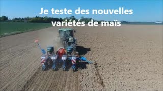 Nouvelles variétés de maïs prometteuses en test [upl. by Acnalb]