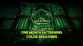 Meditate With Me  The Gateway Experience  Wave 2  Track3amp4 One Month PatterningampColor Breathing [upl. by Werra]