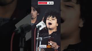 Teri Zahra Pe Musibat  Ali Kazim  Mir Hasan Mir  AyyameFatimiyah Noha  2024  Nishtar Park [upl. by Bernette]