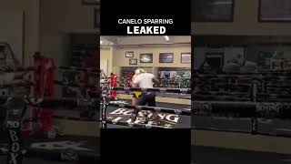 Canelo sparring leaked videocaneloalvarezgggdaviscruzfitnessolympicstoprankufcboxingtyson [upl. by Tyrone]