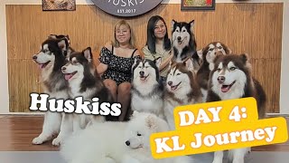 GoPro Hero 10  Kuala Lumpur Tour  Day 4 Huskiss Dog Cafe [upl. by Veats]