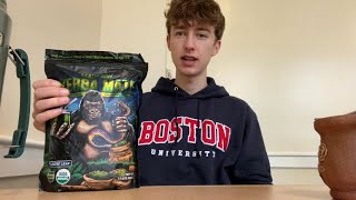 Madflow Yerba Mate Review [upl. by Einwahs]