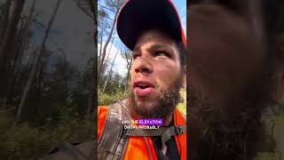 Rifle Hunting Osceola WMA Whitetail [upl. by Sacksen]