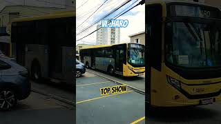 Vs 197 VL Haro pra automobile transporte shortsvideo [upl. by Assilrac]