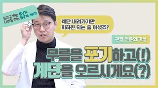 계단 운동 정말 내려가기만 피하면 될까요 계단오르기 전 이건 정말 아셔야 해요 feat 계단 오르기 운동효과 다이어트 [upl. by Devy]