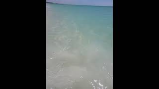 The water at Longboat Key FL [upl. by Hilton801]