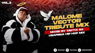 🔥 MALOME VECTOR TRIBUTE MIX 2024  Tactix SA [upl. by Hareehahs]