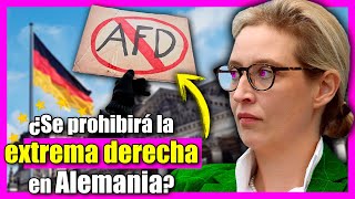 ¿Por qué hay PROTESTAS para PROHIBIR el AFD en ALEMANIA [upl. by Lamphere]