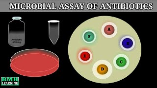 Microbial Assay Of Antibiotics  Antibiotic Sensitivity Test By Cup Plate Diffusion Method [upl. by Leggett840]