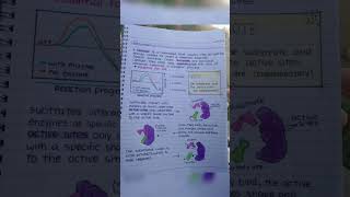 Enzymes class 11 biology [upl. by Notlek]