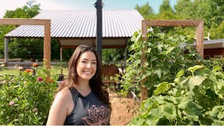 DIY Garden Trellis Solutions for Climbing Vegetables [upl. by Viviane]