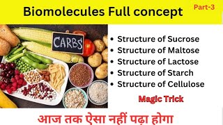 Biomolecules Disaccharides  Polysaccharides Class 12  JEE  NEET [upl. by Naujat]