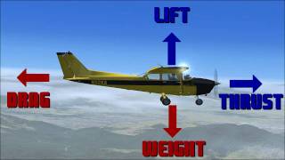 The Aerodynamics of Flight [upl. by Oneil]