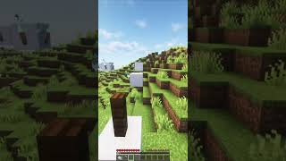 Minecraft Chase [upl. by Leik]