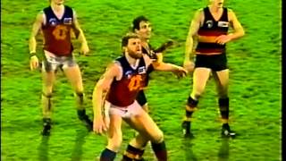 1991 AFL  ROUND 12  ADELAIDE CROWS V FITZROY  2nd Half [upl. by Fasto512]