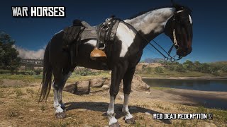 5 Best War Horses for Arthur in Chapter 2  Red Dead Redemption 2 [upl. by Eisej]