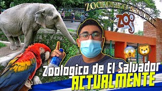 😱🦁 Así esta ACTUALMENTE el ZOOLÓGICO de El SALVADOR 🇸🇻 en 202🐒 [upl. by Aleusnoc]