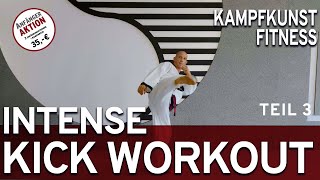 🔥 Intense KickWorkout Teil 3 🔥  KampfKunst Fitness  YUTaekwondo [upl. by Rehpotsrik]