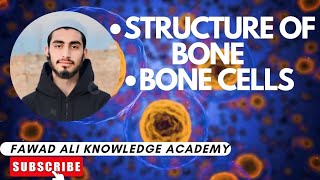 Structure of Bone with diagramBone Cells [upl. by Oicnerolf]