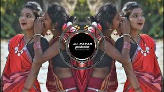 gondi dhemsa full TAPORI MIX SONG AD DJ PAVAN PR [upl. by Acinomed]