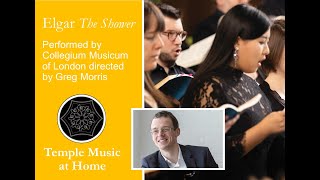 Temple Music at Home Season 2 Collegium Musicum of London  Elgar The Shower [upl. by Melitta]