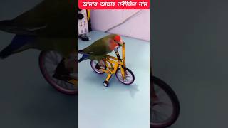 আমার আল্লাহ নবীজির নাম shortsfeed funny shorts short [upl. by Perloff]