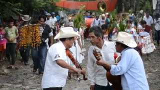 Elotlamanalistli en Tecacahuaco 2013 procesión [upl. by Frieda255]