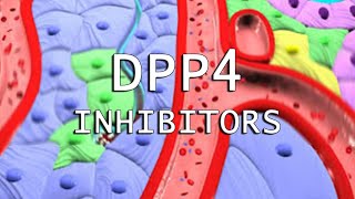 DPP4 Inhibitors [upl. by Ymer]