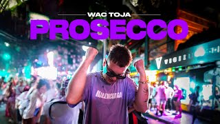 Wac Toja  Prosecco Official Video [upl. by Nitsyrc628]