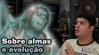 Sobre almas e evolução [upl. by Anabel912]