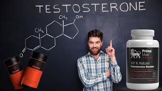 Best Testosterone Booster Supplements For Strength Energy and Muscle Mass [upl. by Cooperman]