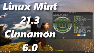 Linux Mint 213 Ultimate Review  Heres What It Feels Like To Use The Best Linux In The World [upl. by Katha]