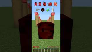 Highest Danger vs random mobs はいよろこんで  minecraft short meme [upl. by Walls]