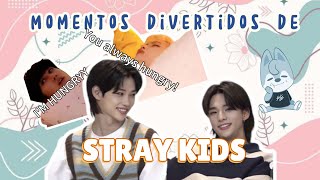 Momentos DIVERTIDOS y TIERNOS de STRAY KIDS [upl. by Assille]