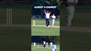 ABSPORTS CC V SEVENFIELDS ALMOST A CHANCE TO THE BOWLER 🏏🏏🏏 ABSports1 [upl. by Dugaid]