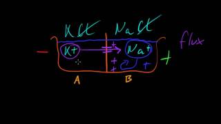 Part 6a  Resting Membrane Potential [upl. by Grenville]