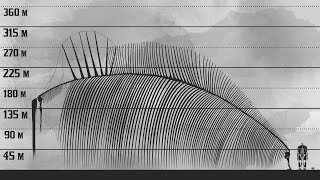 The New Biggest Titan  Attack on Titan Size Comparison [upl. by Pebrook]