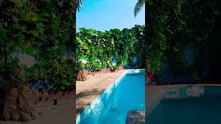 Natures hideaway Margao Goa goadiaries beautifulnatureworld nature travel [upl. by Lrad]