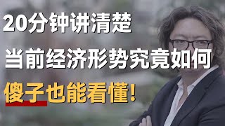 20分钟，讲清楚当前经济形势为什么这么难？傻子也能看懂！ [upl. by Eirrol556]