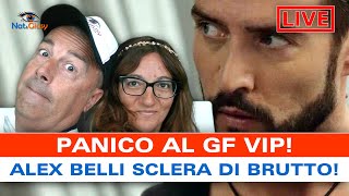 GF VIP Alex Belli Sclera Di Brutto Merita La Squalifica [upl. by Einatirb366]